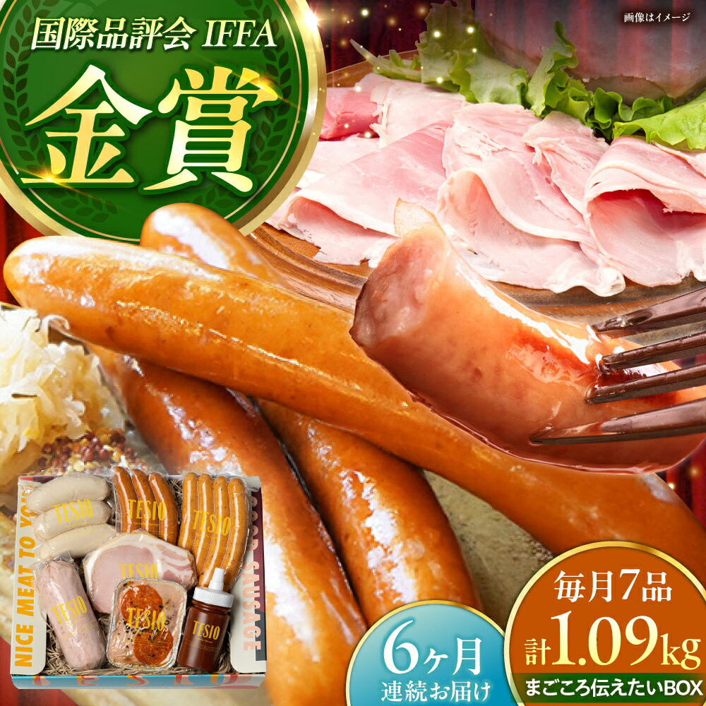 【ふるさと納税】【全6回定期便】TESIOの自家製ハム＆ソーセージ 『まごころ伝えたいBOX』 豚肉 ハム ソーセージ 小分け 真空パック ハム お中元 ハム 詰め合わせ ギフト ハムギフト ハム ギフト 沖縄市 / TESIO [BCAD014]