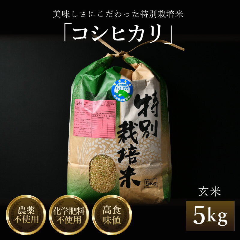 【ふるさと納税】【先行予約】【令和7年産 新米】コシヒカリ 玄米 5kg 特別栽培米 農薬不使用 化学肥料不使用 ／ 高品質 鮮度抜群 福井県産 ブランド米 ※2025年9月下旬より順次発送予定