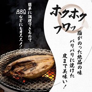 干物セット 10品程度(5～8種) 干物