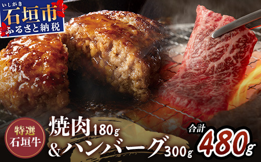 
特選石垣牛100%ハンバーグ100g×3個＋特選石垣牛元卸お任せ焼肉180gセット（八重山パーツミート）I-17-1
