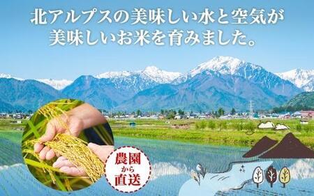 ＜先行予約＞令和7年産 コシヒカリ 無洗米 10kg×1袋 長野県産 米 白米 精米 お米 ごはん ライス 甘み 農家直送 産直 信州 人気 ギフト 時短 お取り寄せ 平林農園 送料無料 長野県 大町