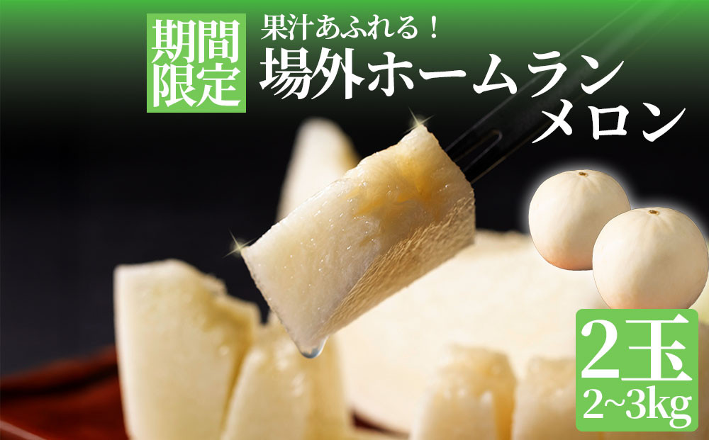 
            メロン 場外ホームランメロン ホームランメロン 2玉 1~1.5kg 父の日 プレゼント 糖度 甘い 白い ジューシー みずみずしい 果肉 希少メロン フルーツ ギフト 贈答用 お祝い おやつ ご褒美 熊本県 阿蘇市
          