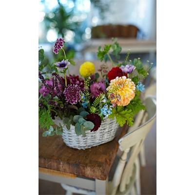 ふるさと納税 芸西村 【毎月定期便】芸西村産季節の生花アレンジ アレンジメント カゴ付 L全3回 |  | 02