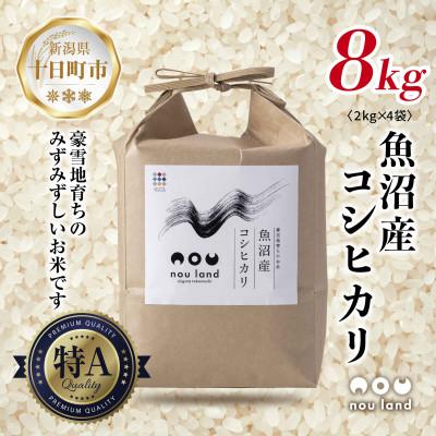 ふるさと納税 十日町市 【令和7年産 新米予約】 農家直送 魚沼産 コシヒカリ 8kg 新潟県 十日町市 のうランド