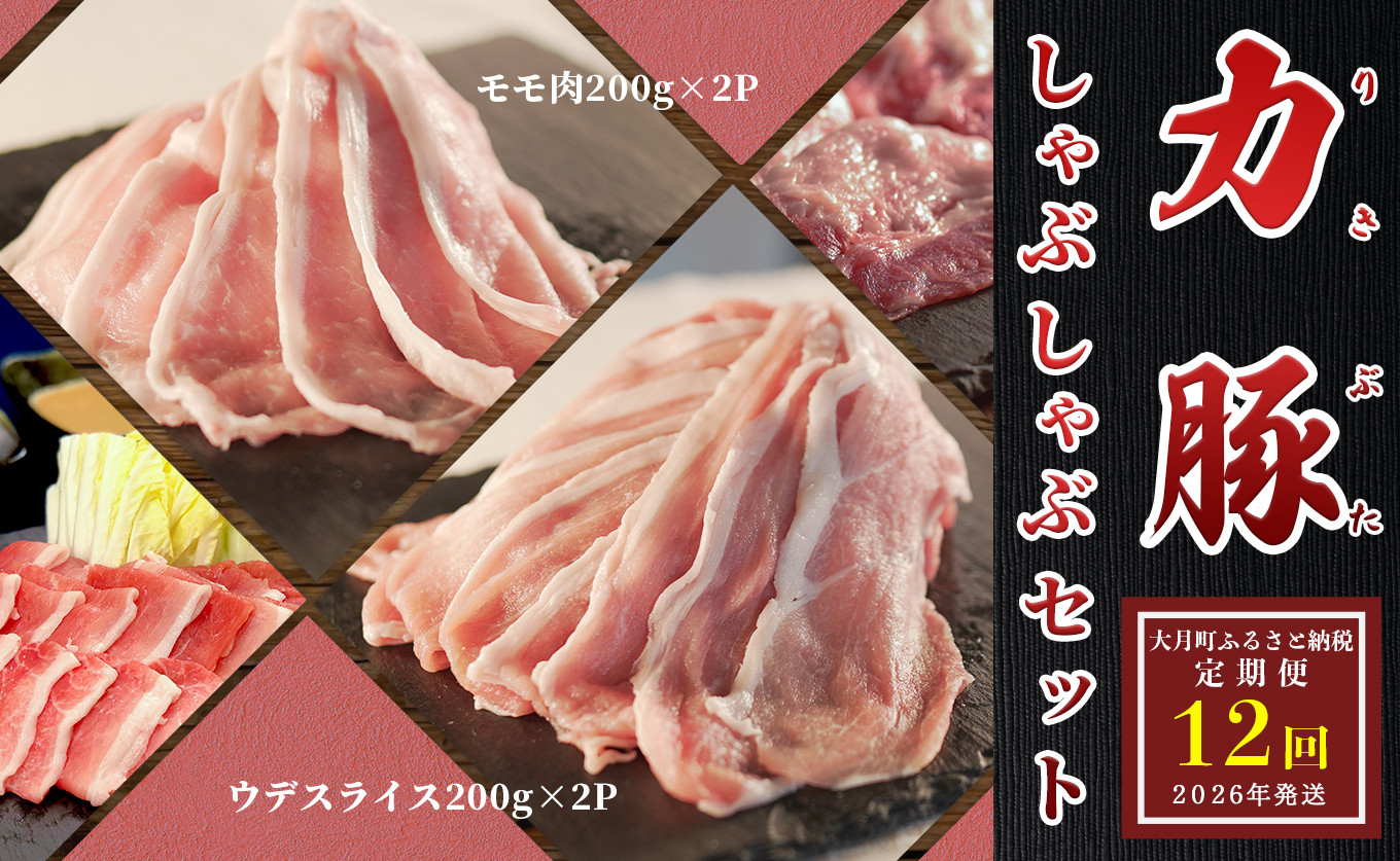 
            【定期便 12回】ブランド豚 力豚しゃぶしゃぶセット
          