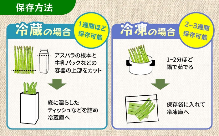 アスパラガス アスパラ モーモーアスパラ 野菜 春 春芽 あすぱらがす