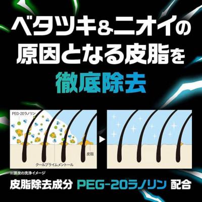 ふるさと納税 高槻市 【詰め替え用20袋】サンスタートニック 爽快頭皮ケア シャンプー《シトラスハーブの香り》 |  | 01