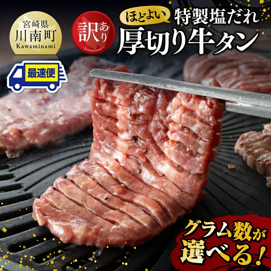 【ふるさと納税】※グラム数が選べる※ 【訳あり】特製塩だれ！ ほどよい厚切り 牛タン - 訳あり 肉 牛肉 牛たん たん タン 厚切り 味付き おかず 焼くだけ 簡単調理 数量限定 300g 600g 900g 1.2kg 1.5kg C111