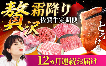 【12回定期便】佐賀牛 贅沢 霜降り 定期便 /牛肉 肉 お肉 焼肉 すきやき ステーキ 国産 九州 [IAH088]