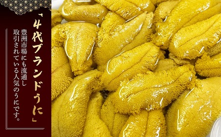 【先行予約】北海道産 上ノ国町 まるひろの折生うに（約250g）