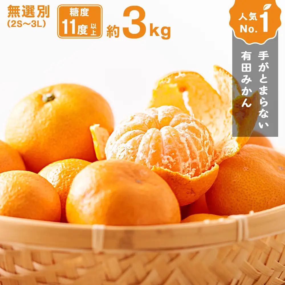 手が止まらない 訳あり 有田みかん 約3kg 大きさ無選別（2S〜3L） 糖度11度以上 鳴川農園