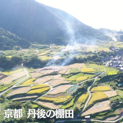 ふるさと納税 京都府 【毎月定期便】京都府産 丹後コシヒカリ 5kg 特A米 ブランド米を6ヶ月×5キロお届け |  | 02