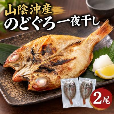 ふるさと納税 松江市 【先行予約】【2026年9月中旬以降順次発送】山陰沖産のどぐろ一夜干し 2尾(100g以上×2)