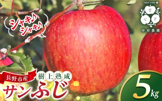 
                  フルーツファーム中村農園　【11月下旬発送 先行予約】樹上熟成　サンふじ 5kg |  りんご サンふじ 糖度 酸味 林檎 人気 おすすめ 果物 フルーツ 大玉 贈答用 ギフト 送料無料 長野県 長野市 信州 信濃 ふるさと納税
                