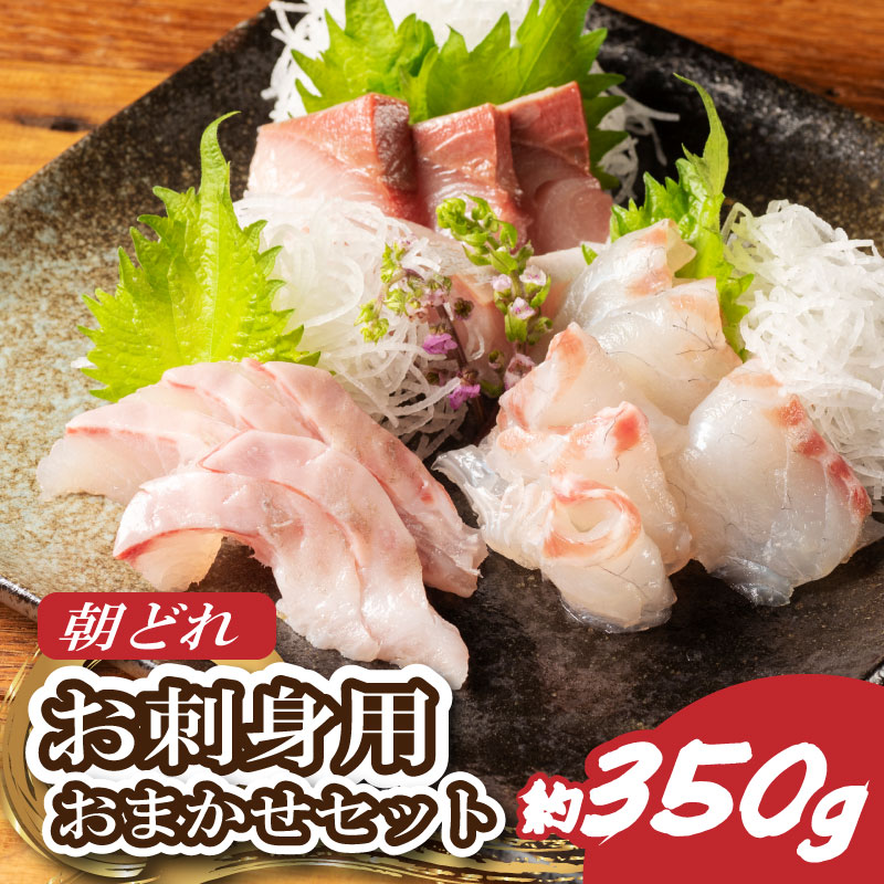 （冷蔵） お刺身 おまかせ セット ２ ～ ３種 約 350ｇ 城水産 朝どれ 刺身 刺し身 鯛 タイ 鰤 ブリ 鮪 マグロ 平昌 ヒラマサ 勘八 カンパチ シマアジ ヒラメ 新鮮 魚 魚介 海鮮 海産物 国産 三重 南伊勢 伊勢志摩