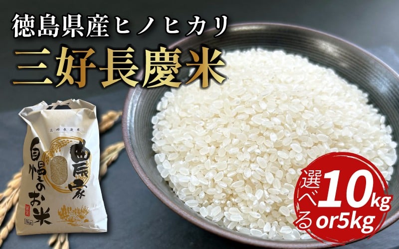 
            米 令和7年産 新米 5kg ～ 60kg 1回便 定期便 ヒノヒカリ こめ お米 送料無料 ご飯 ごはん おにぎり 白米 精米 ギフト 贈答 プレゼント グルメ 徳島県 三好市 三野町 特産 三好長慶米 みよし 大西農園
          