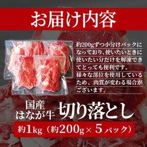 はなが牛 切り落とし 1kg （200gｘ5p） UYB0004