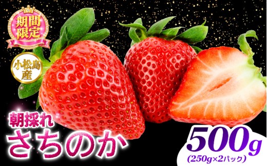 【2027年2月中旬発送】　さちのか いちご 選べる容量 500g 苺 イチゴ ストロベリー strawberry ichigo itigo フルーツ 果物 旬 数量限定 期間限定 産地直送 小松島市