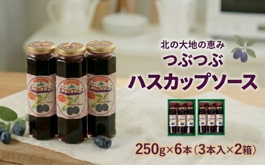 
＜北の大地の恵み＞つぶつぶハスカップソース　ギフトセット　250g×6本【1900366】
