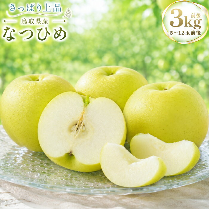 【ふるさと納税】なつひめ 3kg 梨 なし ナシ 先行予約 季節限定 果物 くだもの フルーツ 旬 甘い 贈り物 ギフト お取り寄せ 産地直送 鳥取県
