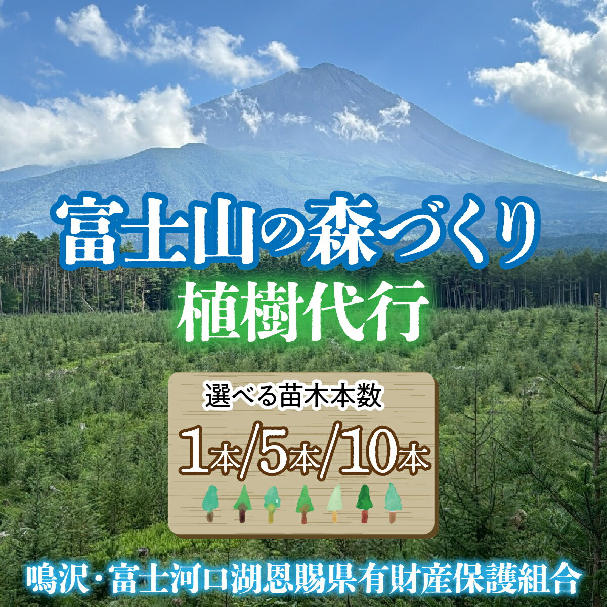 【ふるさと納税】富士山の森づくり植樹代行 【選べる本数！】 ふるさと納税 山梨県 鳴沢村 送料無料 富士山 森づくり 恩賜林 植樹 植樹代行　NSAP001