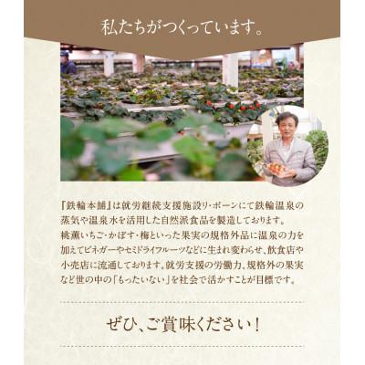 ふるさと納税 別府市 地熱ビネガー レギュラーボトル3種セット (桃薫いちご・黄金かぼす・梅と紫蘇) |  | 03
