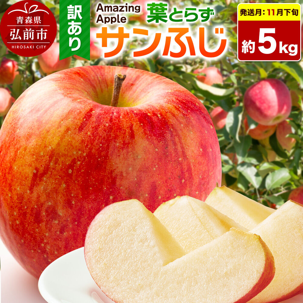 【26年11月下旬発送】りんご 葉とらずサンふじ【訳あり】家庭用 約5kg 先行受付 [先行予約 りんご サンふじ 葉とらず ふじ 訳あり 家庭用 5kg アップル おいしい 果実 果物 取ら 赤色 