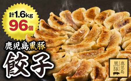 1289-1 鹿児島黒豚 餃子 1.6kg＜96個＞ 豚肉 黒豚 おかず 小分け アレンジ 贈答 鹿児島 鹿屋 こだわり KN054-004 肉 惣菜 総菜
