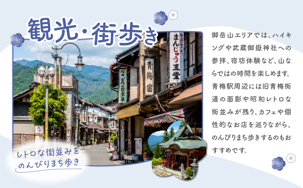 お茶 狭山茶詰め合わせ 300g×6個入 飲料 茶 茶葉 日本三大銘茶 /【ブランド】杉田園/【シリーズ名】日本三大銘茶 青梅市