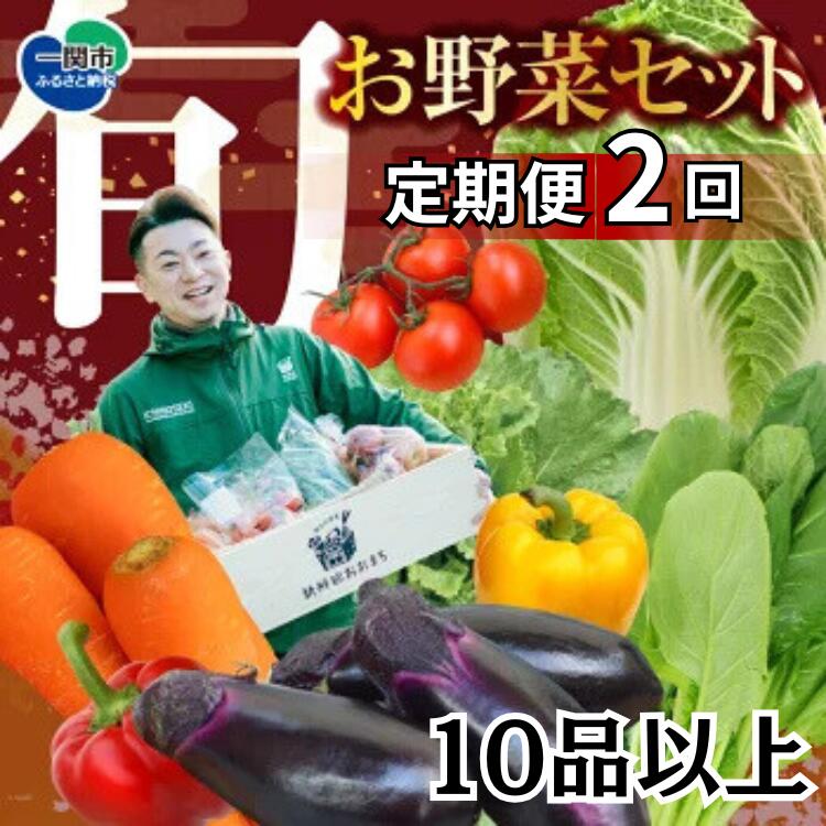 【ふるさと納税】野菜 定期便 2回 お楽しみ 2回 野菜セット 旬 新鮮 詰め合わせ セット ギフト 直送 農家 夏野菜 おまかせ お取り寄せ 産直直送 産直 秋 冬 サラダ 詰合せ 2times