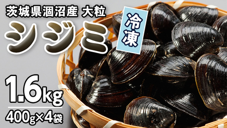 茨城県 涸沼産 大粒 冷凍 シジミ 1.6kg（400g×4袋）  [EL001sa]