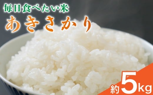 お米 あきさかり 5kg 単品 令和7年産 米 こめ アキサカリ ご飯 ごはん おにぎり 白米 食品 備蓄 備蓄米 保存 防災 ギフト 贈答 プレゼント お取り寄せ グルメ 送料無料 徳島県 阿波市 ヨコタコーポレーション