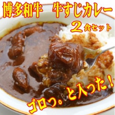 ゴロッ!と入ったコラーゲン牛すじカレー(2食セット)(岡垣町)