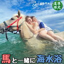 【ふるさと納税】B110-002 乗るだけの乗馬から、馬と一緒に楽しむ乗馬へ 三浦の海で馬と一緒に海水浴～海馬：うみうま90分～