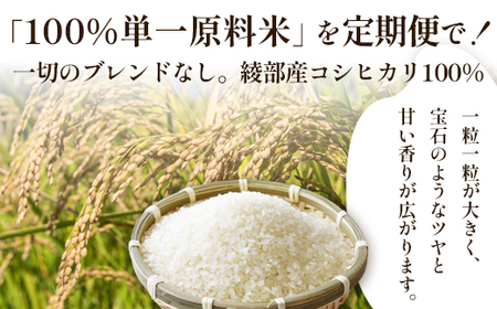 【定期便3回】聖米(玄米) 10kg（5kg×2）×3回 / 米 玄米 定期便 綾部市 / 有限会社カメイ［BSDY059］