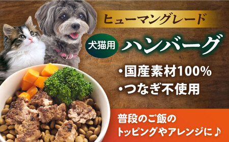 【全6回定期便】ペットフード 鹿肉 100%ハンバーグ 10個セット【ペットフード YMjapan】[AKEX012]