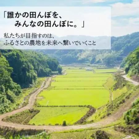 【毎月定期便】小浦れんげ米(にじのきらめき) 精米(白米)5kg全3回【4092804】
