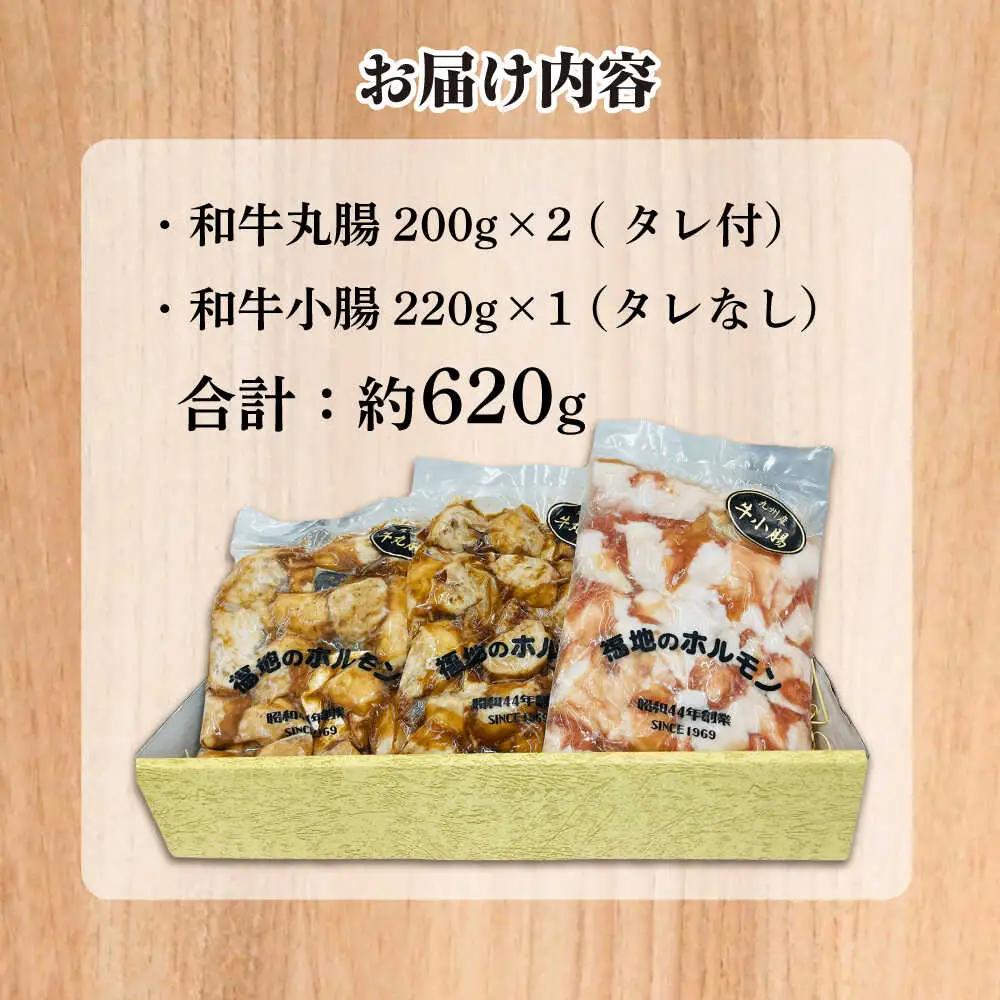 スタミナセットA　（和牛丸腸・小腸）計620g 日田市 ホルモン[ARAY003]