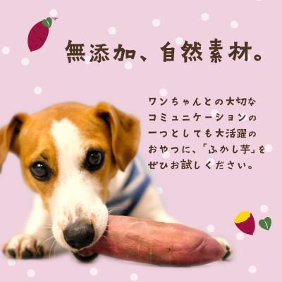 ふるさと納税 下妻市 【無添加】ペット用 ふかし芋 小芋 紅はるか  4kg |  | 03