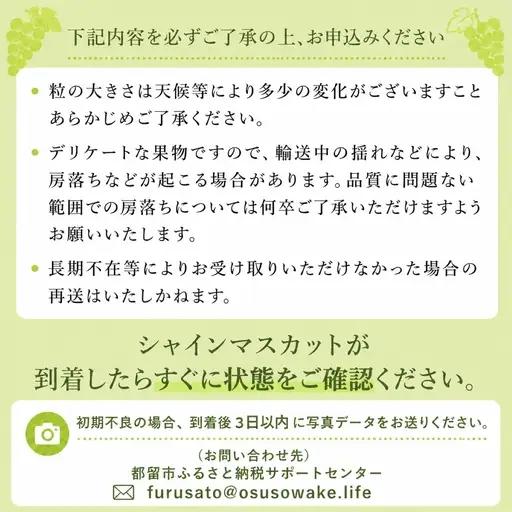 【2027年発送】山梨県産 シャインマスカット 1.2kg ｼｬｲﾝﾏｽｶｯﾄ