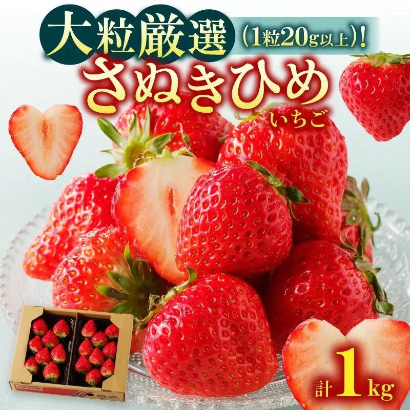 大粒厳選(1粒20g以上)!さぬきひめいちご 約1kg【2027-3月上旬～2027-3月下旬配送】