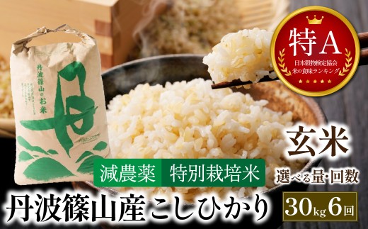 【定期便・新米8年産】玄米 特Aランク 特別栽培米 コシヒカリ30kg（全6回） 兵庫県 丹波篠山市 白米 100％単一原料米 産地直送米 おいしい お米 玄米 コシヒカリ ブランド おこめ 健康 送料無料 おすすめ 人気