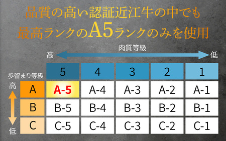 【定期便】【A5ランク近江牛】特選食べ比べ定期便【年4回（3ヵ月に1回お届け）】[BH002] / 肉 お肉 牛肉 和牛 三大和牛 近江牛 近江 滋賀県 大津市 国産 国産牛 鍋 高級 霜降り 霜降り
