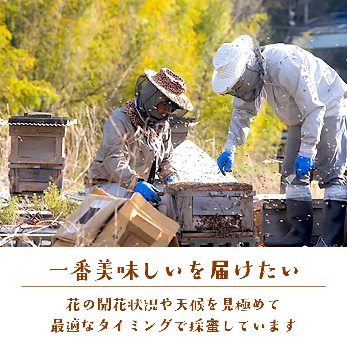 東濃のはちみつ　500g×3（百花） 【下石ファーム】 蜂蜜 健康 美容[MAB012]