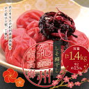 【ふるさと納税】 最高級紀州南高梅大粒・しそ梅干し 1kg〜1.4kg【ご家庭用】 / 梅干 梅干し 梅 南高梅 大容量 人気 大粒 ご家庭用