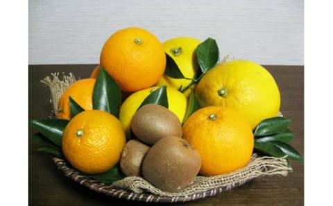 ジャムという名のフルーツ『手作り いちじく ジャム 5瓶セット』余計なものは何も加えない [1301]