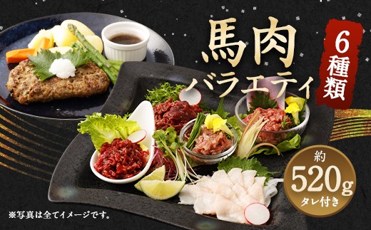 
                  馬肉 6種 バラエティ 約540g タレ付き 馬刺し
                