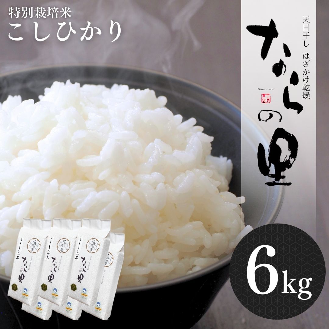 【ふるさと納税】新潟県産コシヒカリ 6kg (1kg×6) 特別栽培米 令和7年産米 昔ながらのはざ掛け（はざかけ）米 天日干し 長持ち 真空パック こしひかり [農事組合法人ならやま]【020P096】