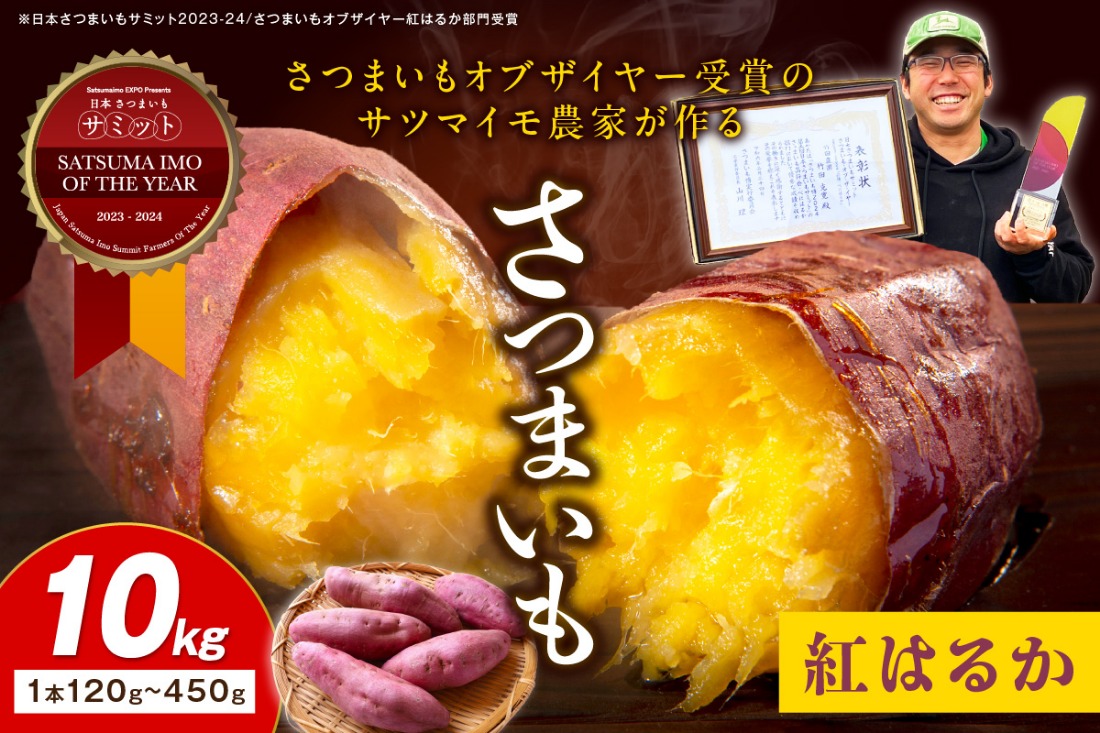 さつまいもオブザイヤー紅はるか部門全国1位 京都・ 丹後産　さつまいも 紅はるか　土付き（1本120〜450g程度）10kg　TF00043