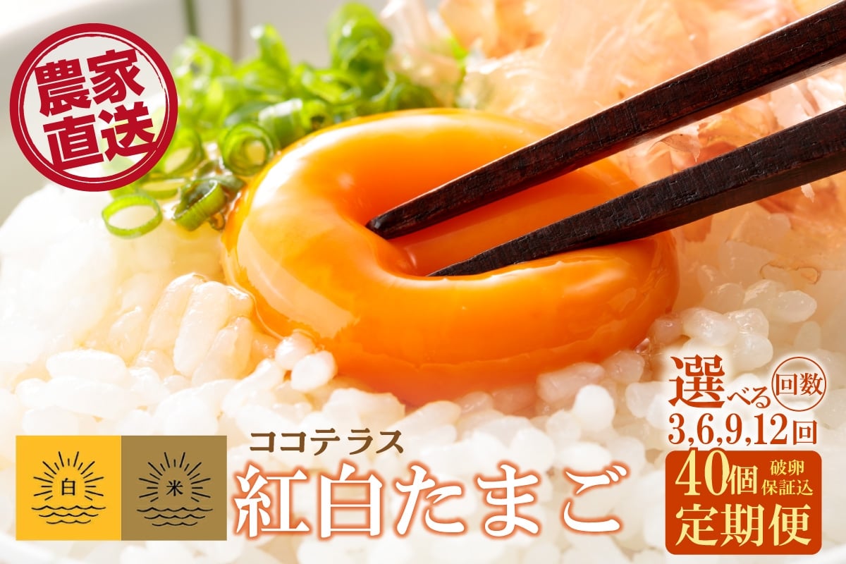 
            【3～12ヵ月定期便】ココテラスの紅白たまご　35個 + 5個保証（計40個）選べる定期便回数【JGAP認証】
          